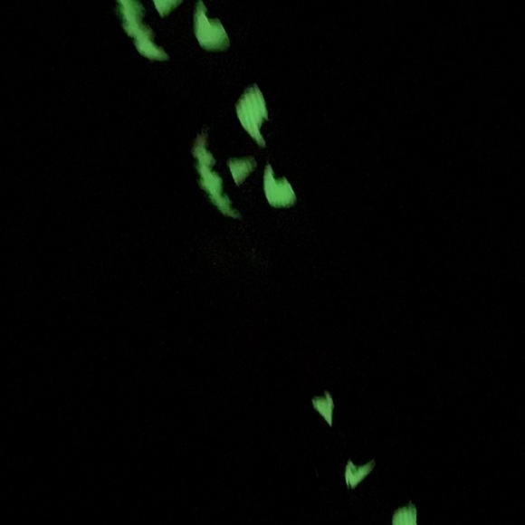 Jack O’Lanterns Custom Cleats - Picture 10 of 11